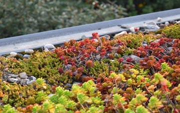 the cost of Coventry green roof installation