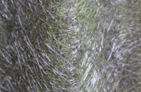 Coventry fibreglass roof work